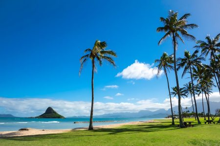 Before You Book: Essential Hawaii Travel Information